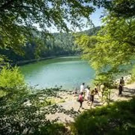 Grande Maison Pour 10 Pers. Avec Jardin, Terrasse, Bbq, Près De Bruyères Et Gérardmer - Fr-1-589-335 Champ-le-Duc