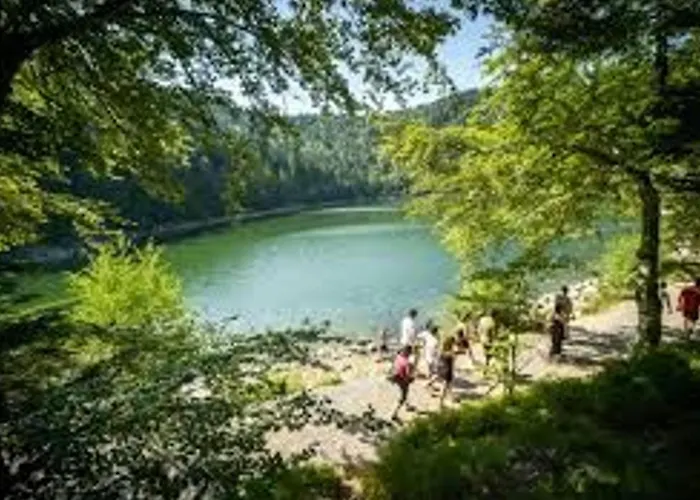 Grande Maison Pour 10 Pers. Avec Jardin, Terrasse, Bbq, Pres De Bruyeres Et Gerardmer - Fr-1-589-335 Champ-le-Duc